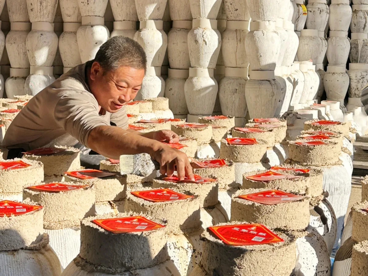 Shaoxing: Yellow Wine Tasting & Ancient Brewery Tour