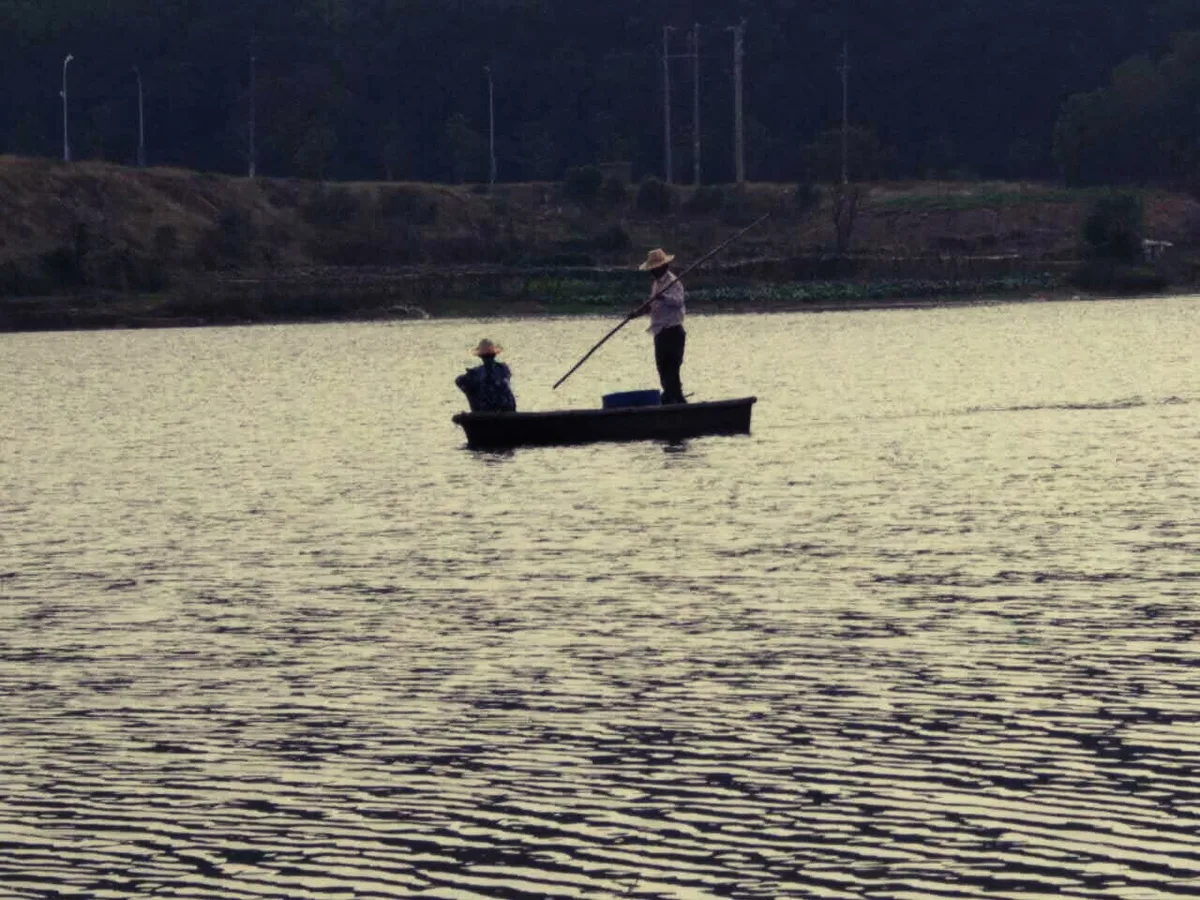 Wuhan East Lake Cycling Half-Day Tour with Lotus and Plum Garden