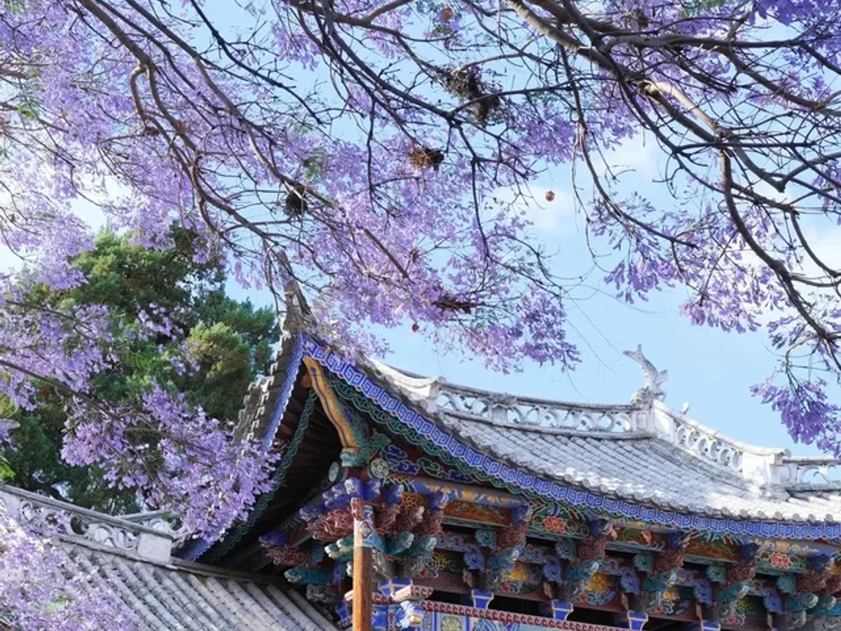 Half-Day Weishan Ancient Walled Town Walking Tour from Dali