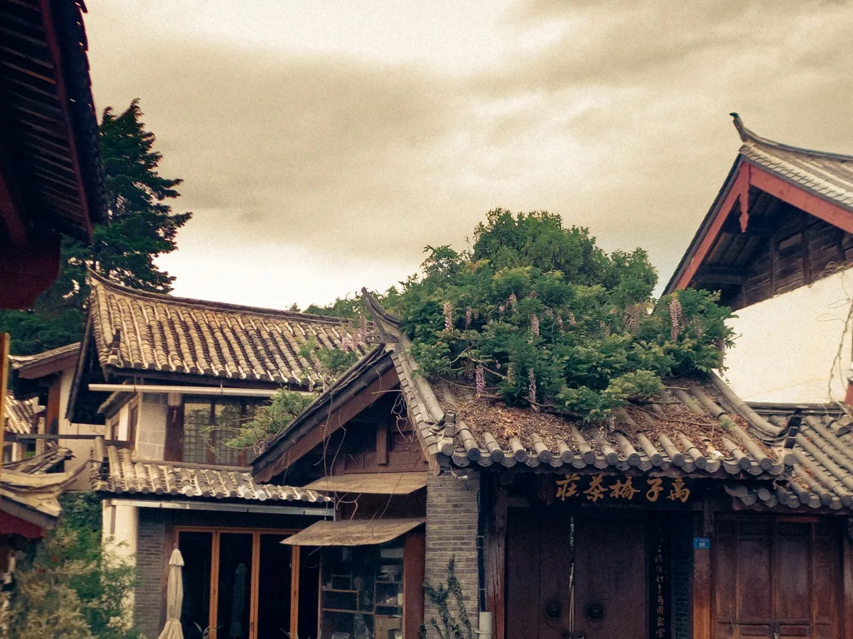 Lijiang Naxi Dongba Script and Paper-Making Workshop with English Guide