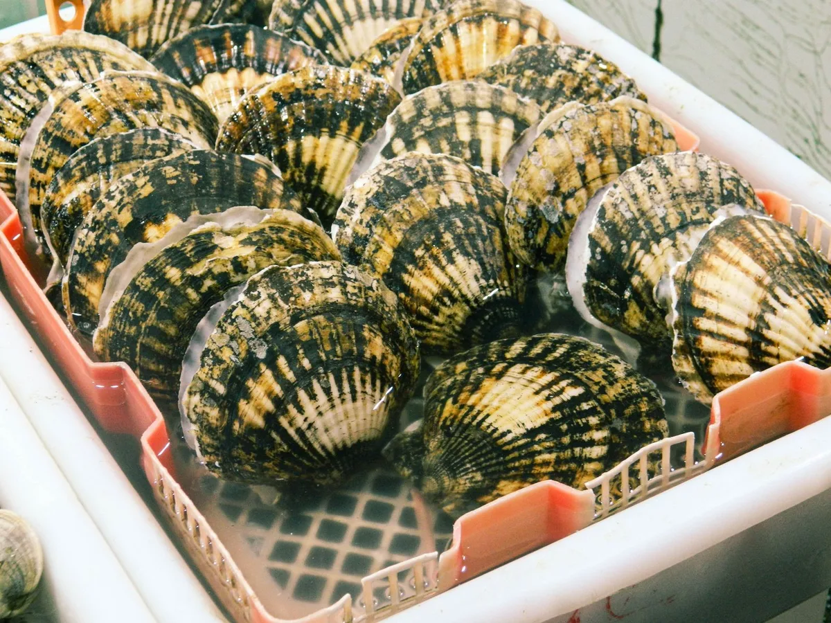Qingdao Seafood Market and Home-Style Seafood Class with English Guide