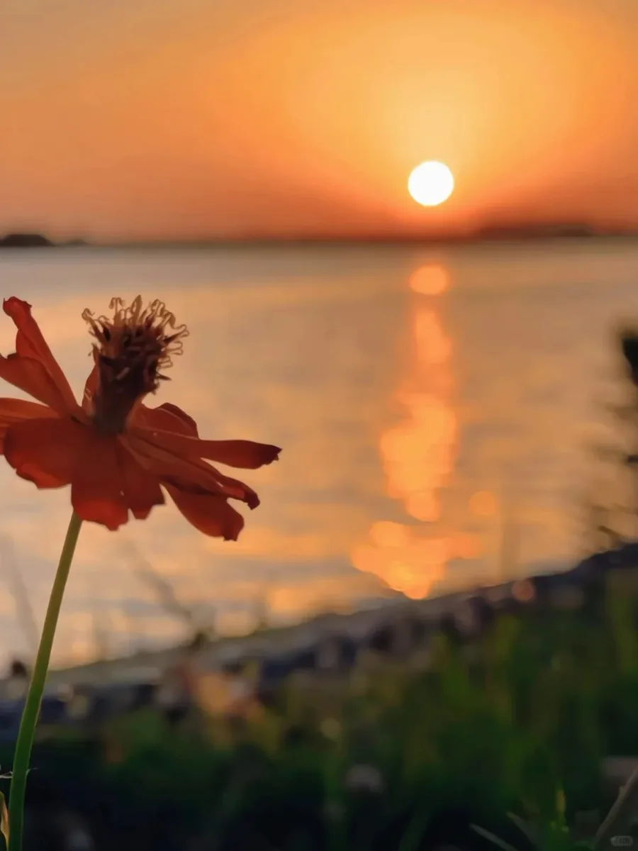 Shanghai: Dianshan & Yuandang Lake 100km Bike Tour Day Trip · 4/4