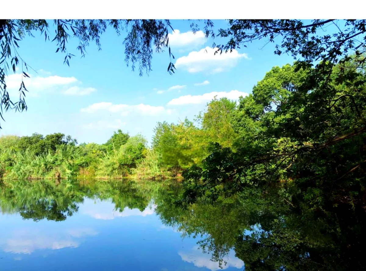 Hangzhou: Xixi Wetland National Park Eco-Tour & Boat Ride · 4/4