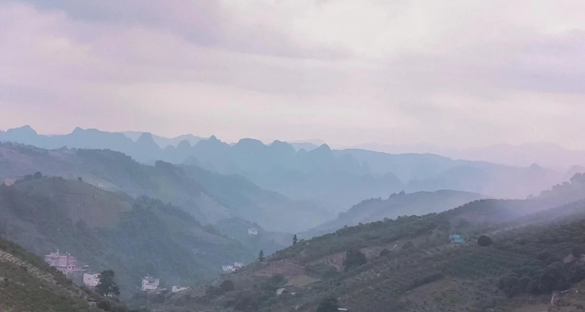 Qixianfeng Tea Plantation Tour in Yangshuo · 4/4