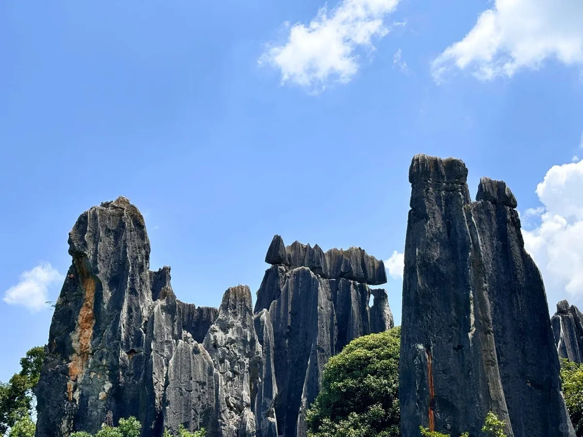 Kunming: Stone Forest, Roast Duck Lunch and City Tour · 2/4