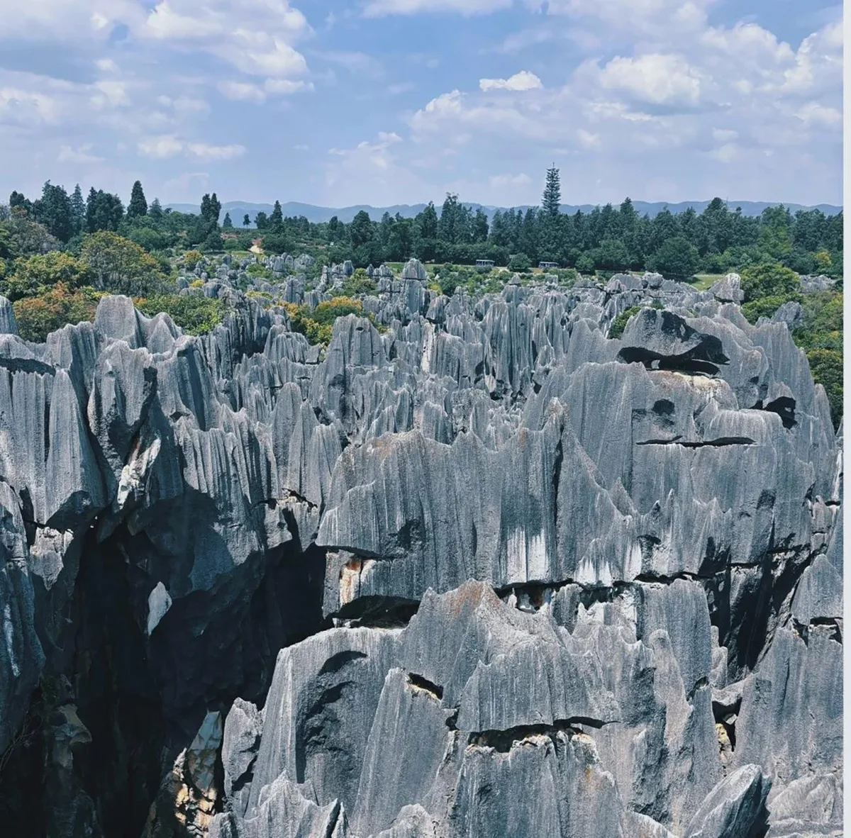 Kunming: Stone Forest, Roast Duck Lunch and City Tour · 3/4