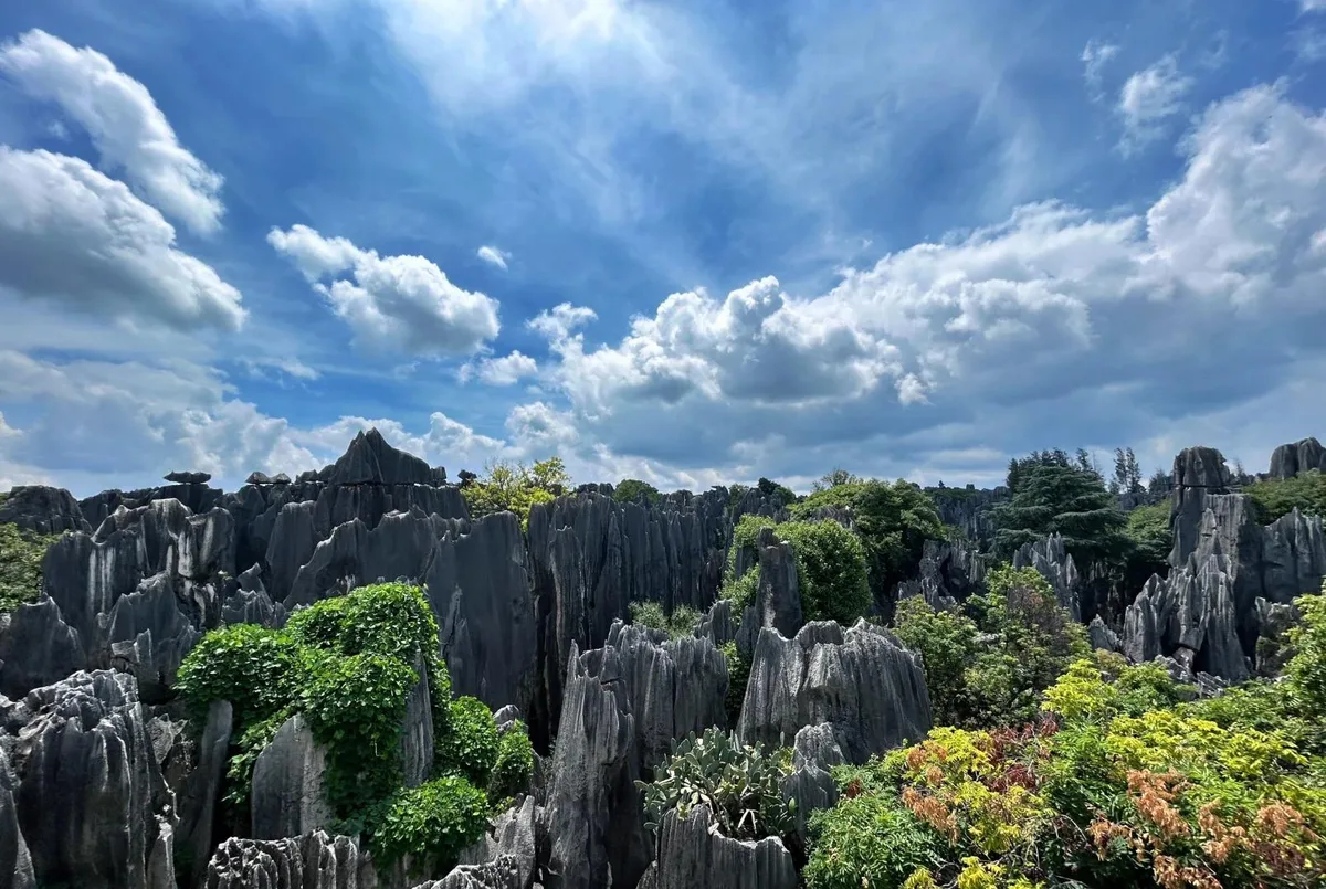 Kunming: Stone Forest, Roast Duck Lunch and City Tour · 4/4