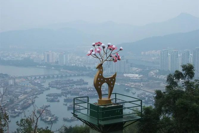 Sanya: Luhuitou Park Sunset & Local Seafood Market Half-Day Tour · 3/4