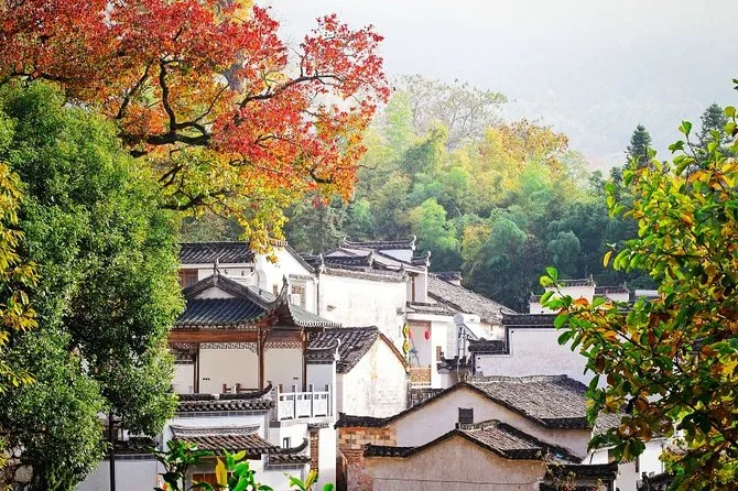 Xidi Ancient Village UNESCO Half-Day Private Tour from Huangshan · 3/4