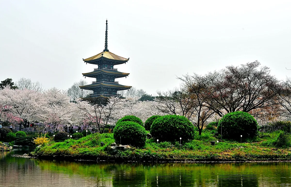 Wuhan East Lake Cycling Half-Day Tour with Lotus and Plum Garden · 2/4