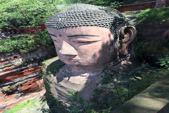 One Day Trip to Chengdu Panda Base and Leshan Buddha Tour · 2/4