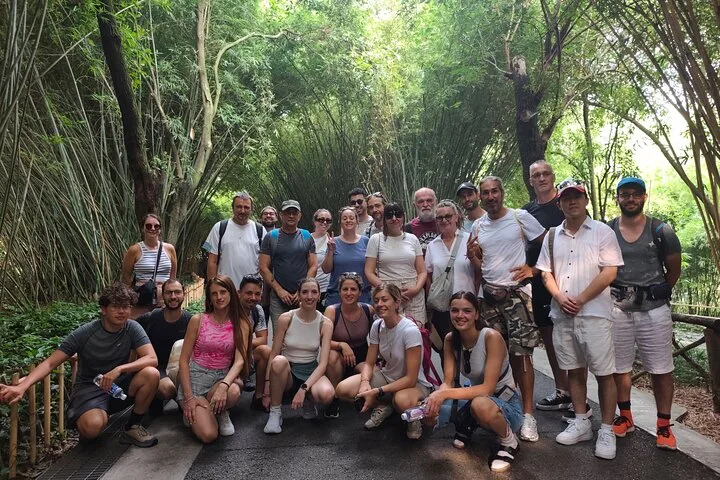 Chengdu: Panda Base Leshan Buddha Tour(or Half Day Panda Base ) · 3/4