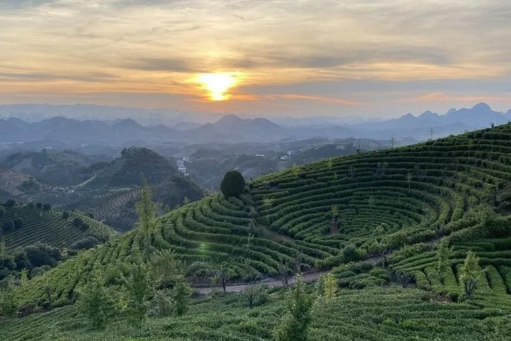 Half-day Tour: Largest Tea Plantation & Amazing Xianggong Hill · 4/4