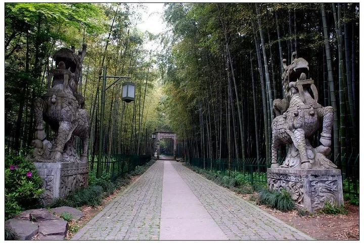 Half-Day Hangzhou Yunxi Bamboo Forest and Tea Plantation Experience · 2/4