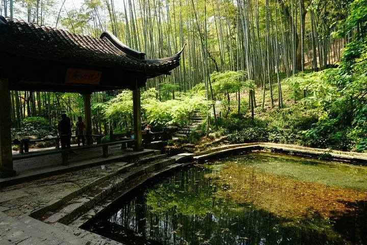 Half-Day Hangzhou Yunxi Bamboo Forest and Tea Plantation Experience · 4/4