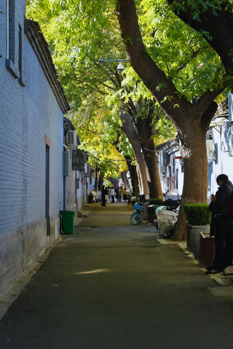 Beijing Hutong Walking Food + Beer Tour (Unlimited Beer) · 4/4