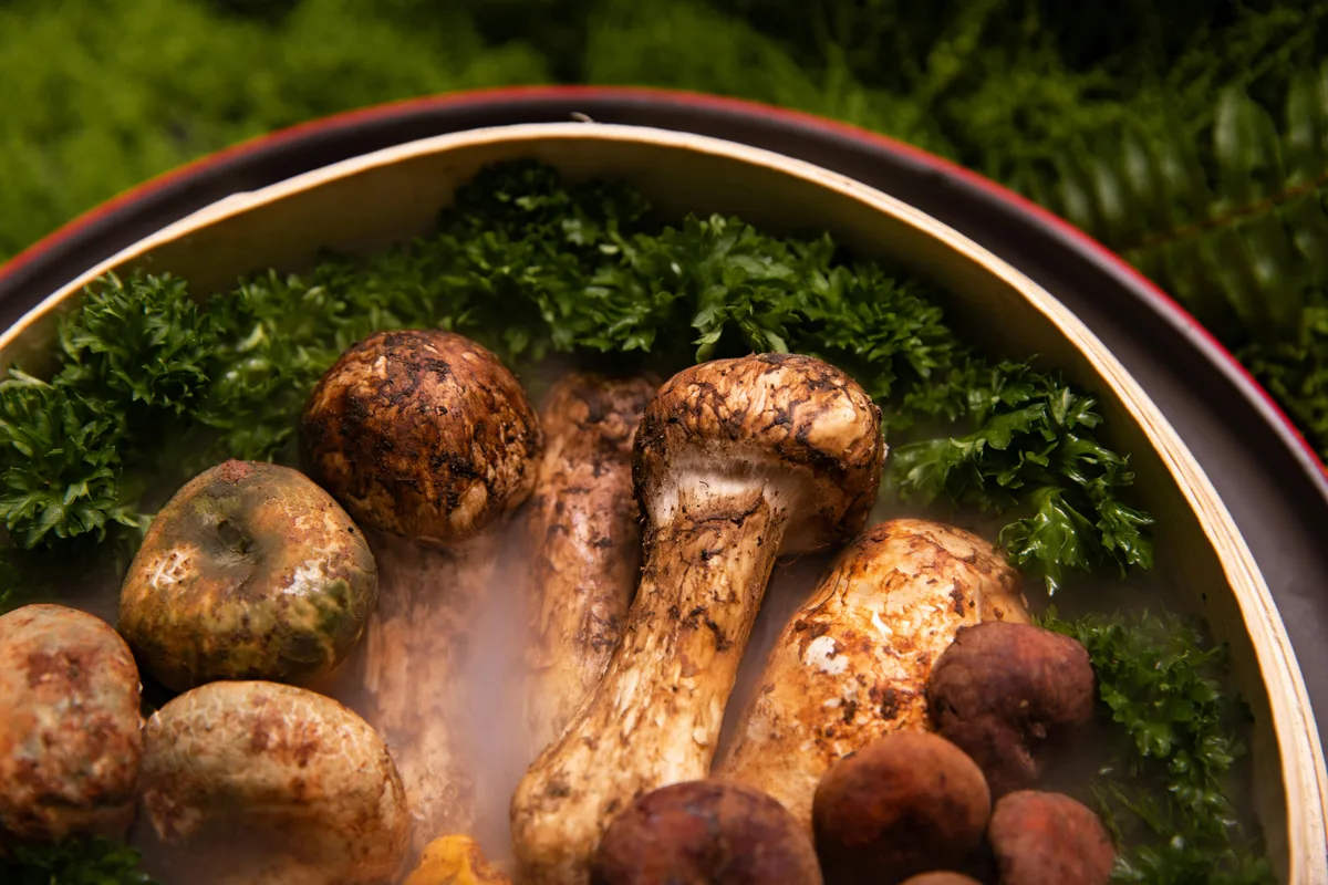 Yunnan Wild Mushroom Hot Pot Dinner (Kunming) · 3/4