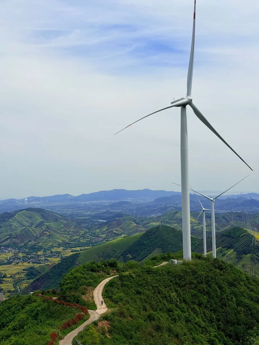 Shanghai: Dagangshan Windmills & Tea Fields Private Day Trip · 2/4