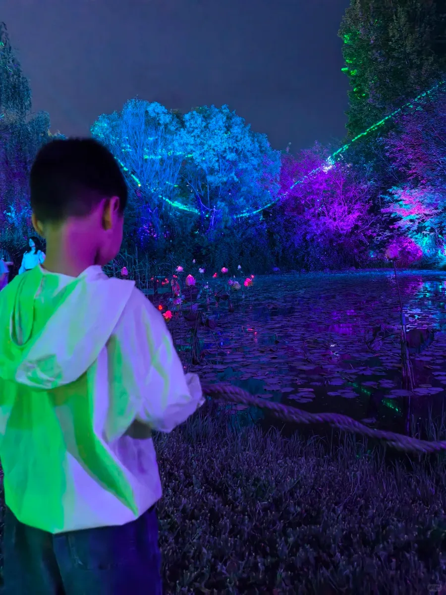Xi'an: Firefly & Night Nature Discovery Private Evening Tour · 3/4