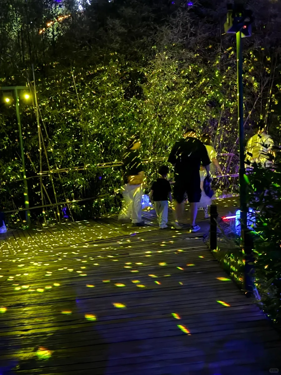 Xi'an: Firefly & Night Nature Discovery Private Evening Tour · 4/4
