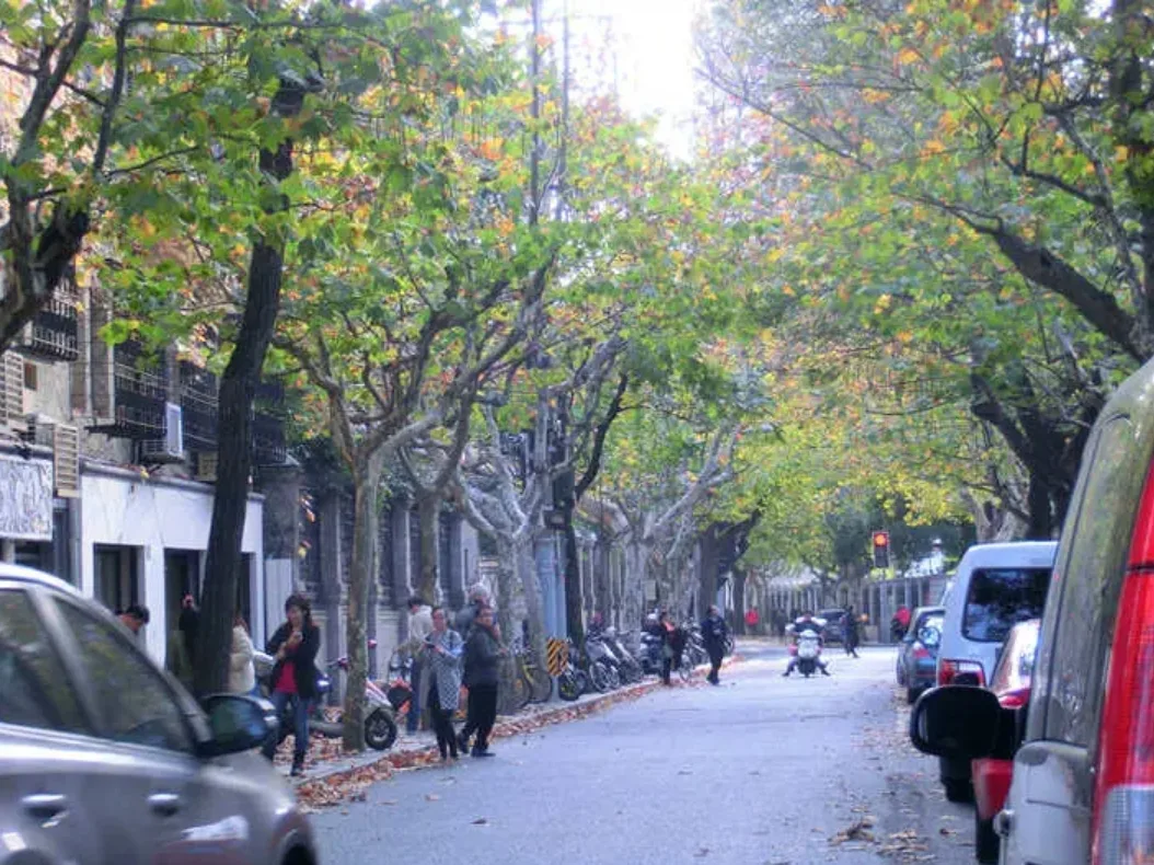 3-Hour Former French Concession Walking Discovery Tour · 3/4